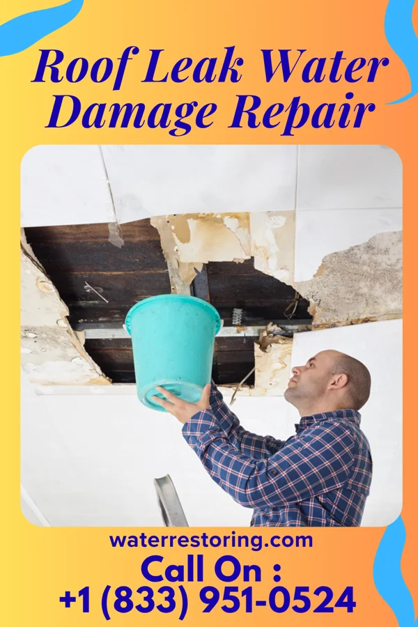 Roof Leak Water Damage Repair in Moorefield, NE